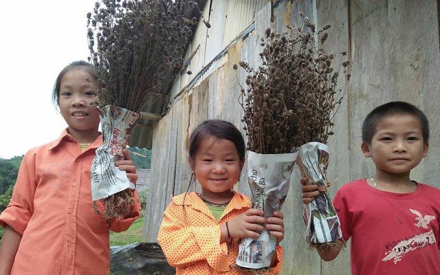 Giáo viên mừng phát khóc khi học trò mang hoa dại, rau cải, chuối tặng ngày 20/11