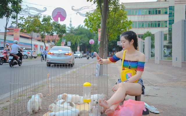 Chỉ bằng một tấm hình ngồi bán thú cưng ven đường, cô gái trẻ bỗng thành hiện tượng mạng xã hội