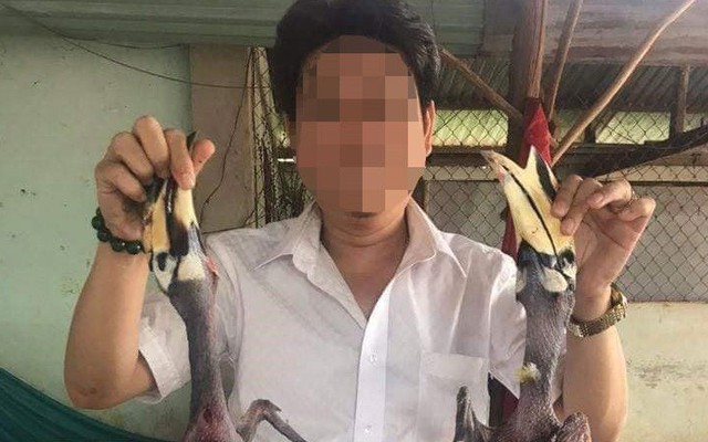 Doanh nhân bị tố ăn thịt chim Hồng hoàng nói "chỉ xin chụp hình đăng facebook"