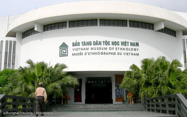 Hai cây sưa đỏ tại Bảo tàng Dân tộc học Việt Nam bị cưa trộm