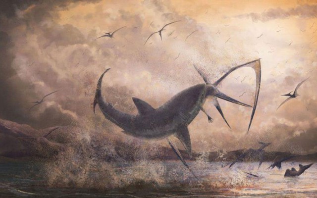 Phát hiện sốc về 'cá mập bay' thời tiền sử