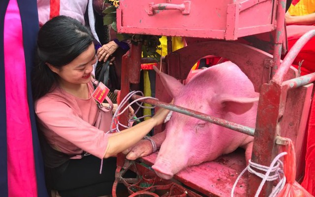 Thủ đao cứa hai “ông ỉn” trong nhà bạt kín, công an bảo vệ khu vực làm lễ tế