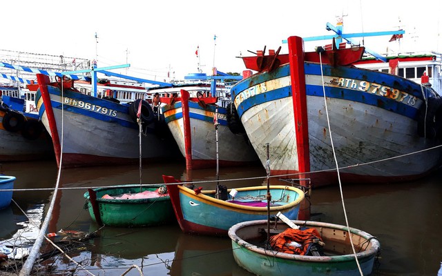 Điều tra hành vi tổ chức đưa ngư dân ra nước ngoài đánh bắt trái phép