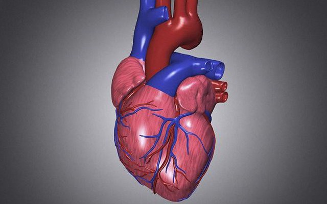 Giáo sư tim mạch: Những việc ai cũng nên làm hàng ngày để chăm sóc tim mạch tốt nhất