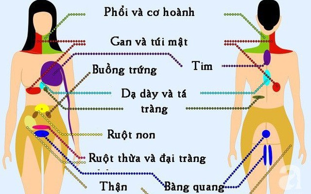 9 vị trí nếu thấy đau thì bạn nên cẩn trọng và đi khám càng sớm càng tốt