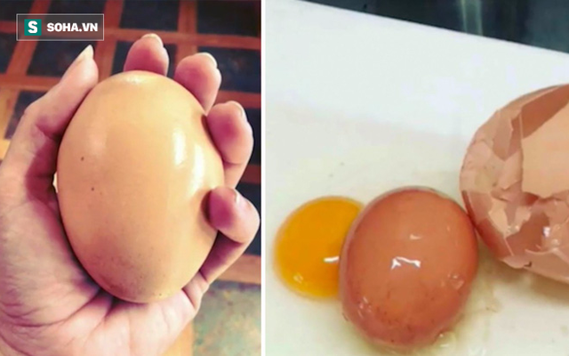 Quả trứng "khổng lồ" to như nắm đấm, đến lúc đập ra còn có một điều bất ngờ hơn