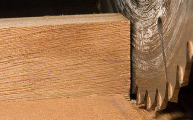 Phát hiện mùn cưa, phôi gỗ, vỏ bào… có thể giúp kết dính bê tông chắc và chống thấm tốt hơn