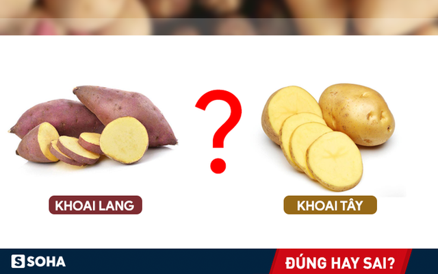 Khoai lang tốt hơn khoai tây: Nhiều người sẽ tỉnh ngộ và ăn khoai "thông minh hơn"