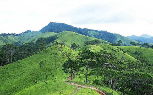 Chấm dứt thả nổi cung đường phượt đẹp và nguy hiểm nhất Việt Nam