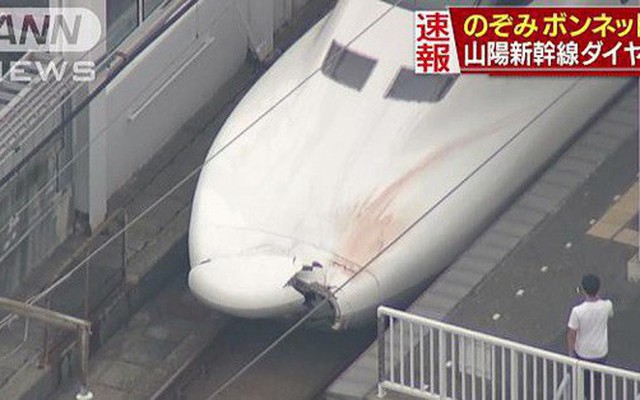 Nhật Bản: Tàu cao tốc va chạm vỡ nứt đầu mà lái tàu không biết, lúc kiểm tra mới phát hiện mảnh cơ thể người kẹt bên trong