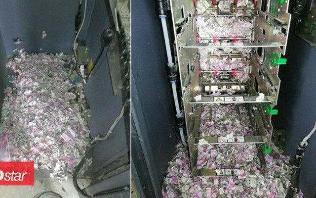 Chuột lẻn vào máy ATM, cắn nát gần 600 triệu đồng