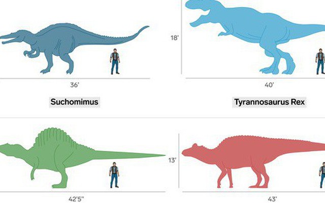 Jurassic World: Đây là kích cỡ thực của các loài khủng long nếu so với con người