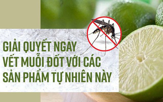 Giải quyết ngay vết muỗi đốt với các sản phẩm tự nhiên này