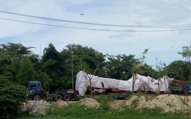 Tạm giữ xe chở cây “siêu khủng” sau 2 ngày truy tìm