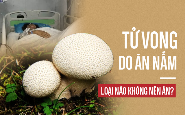 3 mẹ con nguy kịch, tử vong do ăn nấm: Cảnh báo những loại nấm có độc tuyệt đối không ăn