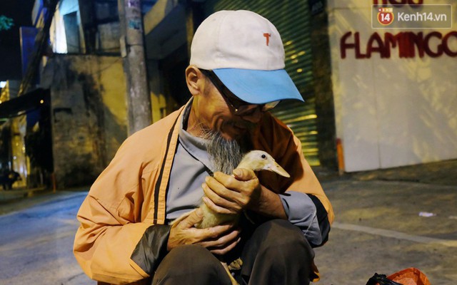 Câu chuyện đáng yêu về chú vịt con lon ton theo sau ông lão vé số ở Sài Gòn: "Từ ngày con 'quỷ sứ' này chạy theo, ông thấy vui hơn nhiều"