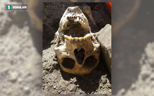 Nạn nhân bị tảng đá nặng 300kg đè gãy sọ: Sự thật cái chết sau gần 2000 năm mới sáng tỏ!