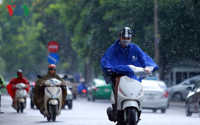 Hà Nội đón mưa rào hạ nhiệt sau nhiều ngày nắng "cháy da cháy thịt"