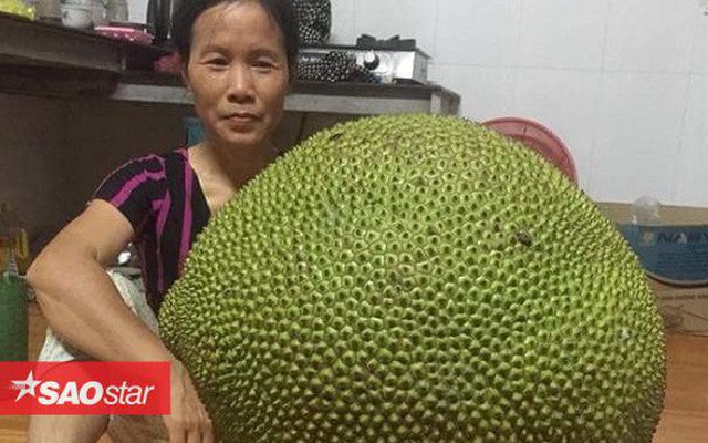 Khoe được mời ăn quả mít gần 20kg, thanh niên bị 'ném đá ngược' vì không đăng ảnh... múi mít