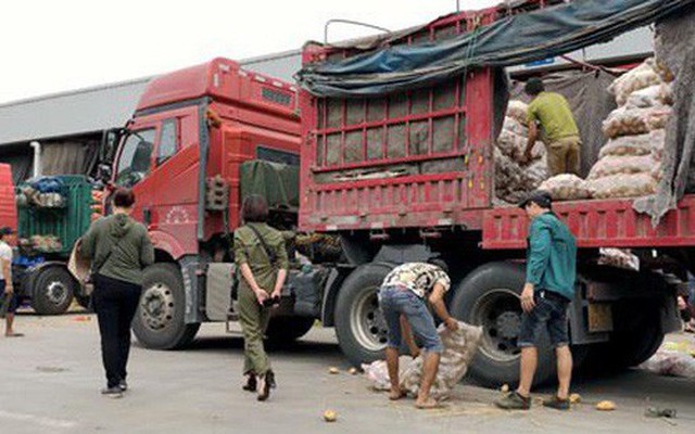 "Lật mặt" nông sản Trung Quốc nhái hàng Đà Lạt