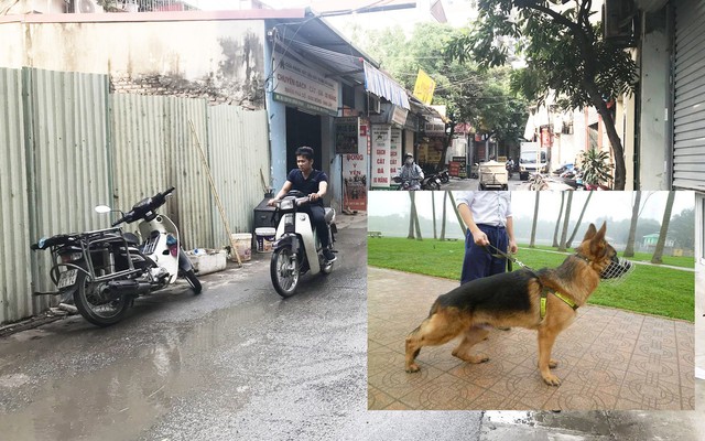 Chó Becgie cắn chết người ở Hà Nội: Bị tấn công bất ngờ, nạn nhân ngã đập đầu xuống đất