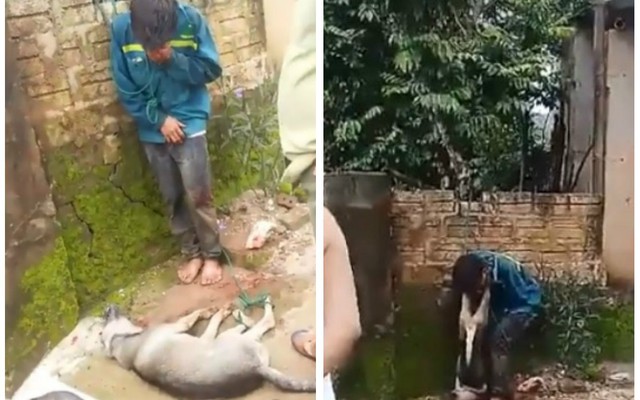 Nam thanh niên trộm chó ở Thanh Hóa bị người dân bắt trói, treo xác chó lên cổ