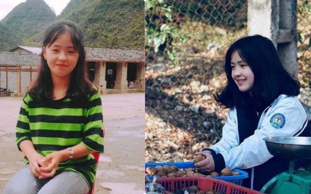Bán hoa quả ở Hà Giang, cô gái 15 tuổi khiến chàng trai đòi "làm rể", dân mạng nhận ra người quen cũ