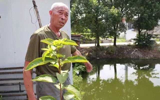 Cụ ông 80 tuổi cứu cậu bé bị đuối nước rồi phát hiện 30 năm trước cũng chính ông đã cứu bố của đứa trẻ