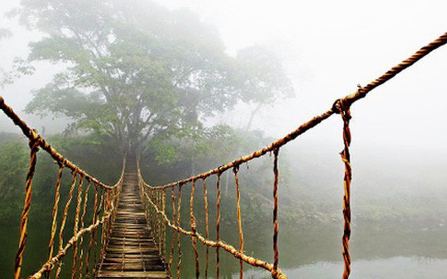 Cầu mây Tả Van (Sa Pa) nổi tiếng thế giới qua một bức ảnh
