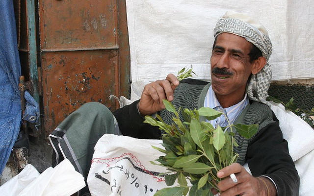 Những người Yemen chỉ ăn lá cây để tồn tại