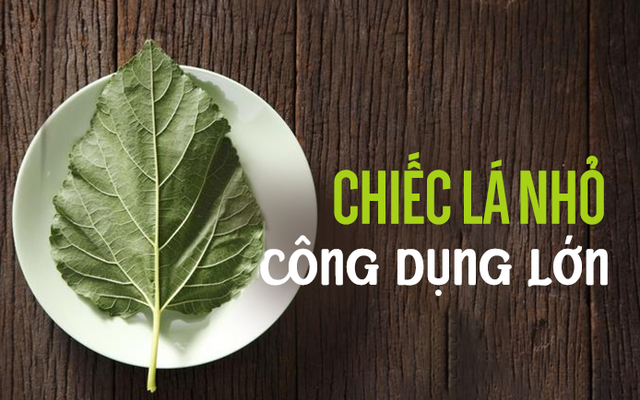 Kỳ diệu chiếc lá nhỏ trong vườn Việt: Thanh nhiệt, giải độc, sạch mạch máu, tiêu sưng viêm