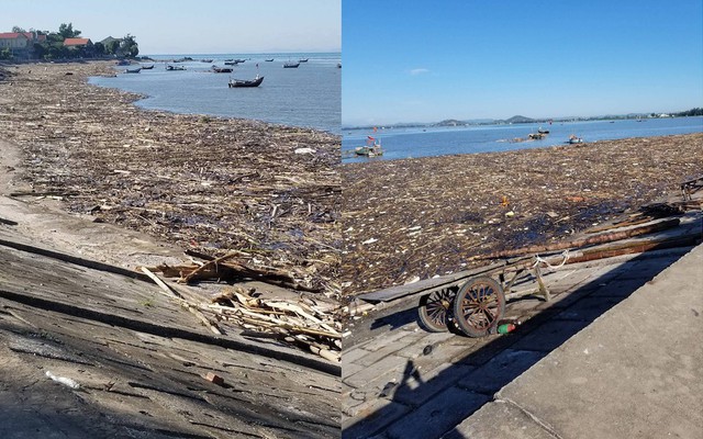 Bờ biển tràn ngập gỗ, củi và rác sau 1 đêm