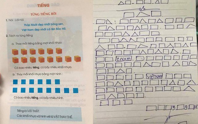 Học sinh "đọc chữ ô vuông, tam giác": GS Nguyễn Lân Dũng nói có sự logic về mặt sư phạm