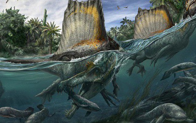 Spinosaurus - loài khủng long kỳ cục nhất thời cổ đại: Săn cá như thần mà không thể bơi lội