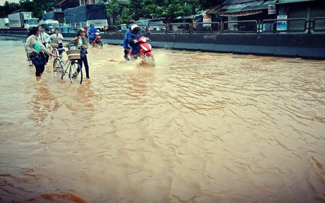 Mưa lớn tại Phú Yên: Quốc lộ 1 bị chia cắt, người dân phải lên những nơi cao để tránh lũ