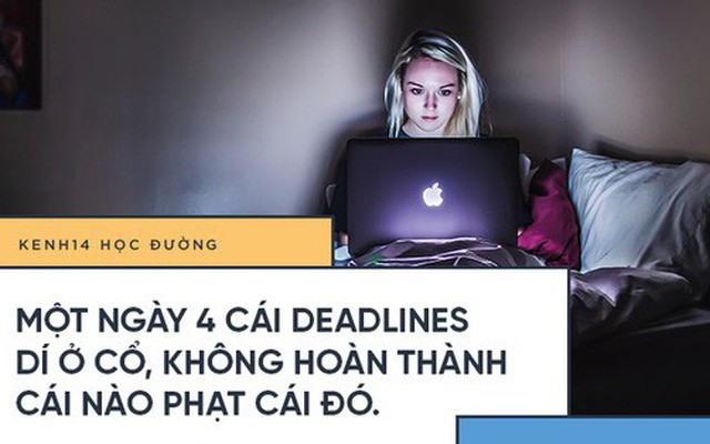 Khổ như sinh viên đi làm: Kém hiểu biết nên lương thấp, thường xuyên bị bắt nạt, bóc lột