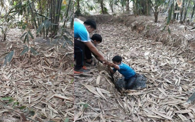 Cái "bẫy bí hiểm" trong rừng nứa khiến nam thanh niên ôm hận vì lỡ bước