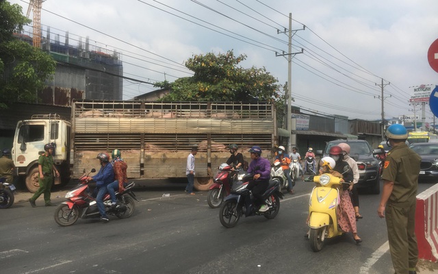 Xe tải chở 50 con heo tông vào nhà dân, giao thông kẹt cứng 2km