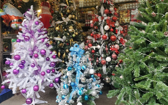 Cận Giáng sinh, cây thông Noel khổng lồ "hét" giá 120 triệu đồng