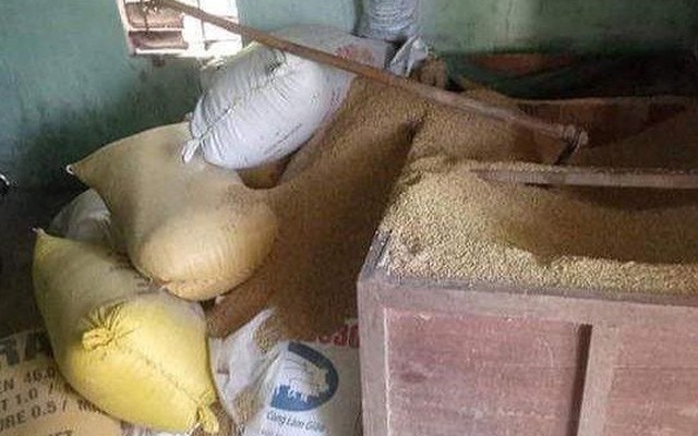 Một gia đình báo mất 49 lượng vàng giấu trong kho lúa ở Quảng Nam