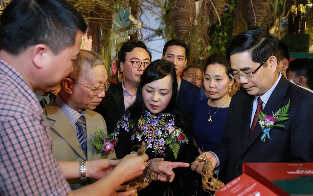 Lần đầu tiên hàng loạt dược liệu quý của Việt Nam tham gia hội chợ