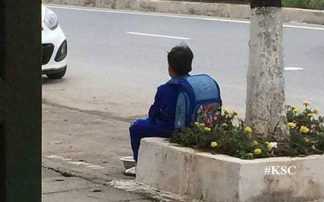 Bé trai ngồi bên đường, bán cà chua "không có tâm" và lí do phía sau khiến dân mạng bật cười