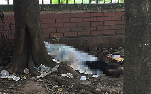 Hà Nội: Người đàn ông tử vong dưới gốc cây ven đường