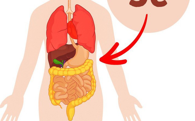 10 cách ăn uống bất kỳ ai cũng nên áp dụng sau 40 tuổi: Đừng bỏ lỡ thông tin quý giá