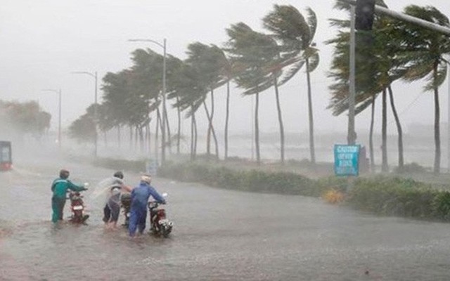Chủ động ứng phó áp thấp nhiệt đới khả năng mạnh lên thành bão đầu mùa