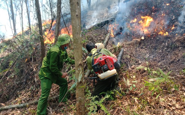 Cháy rừng thông ở Hà Tĩnh lúc giữa trưa, hàng trăm người lại leo rừng dập lửa