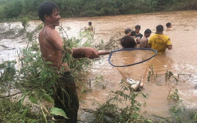 Ảnh: Sau mưa lớn khủng khiếp, dân Đắk Lắk hò nhau đi bắt cá