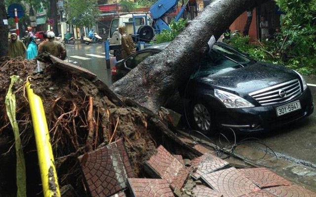Cây đổ hàng loạt, đè trúng ô tô, hiện trường tan hoang ở Hà Nội và các tỉnh phía Bắc khi bão số 3 quét qua