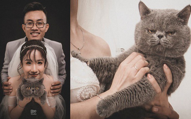 Cô dâu ôm "kẻ thứ 3" chụp ảnh cưới, sự thật do nữ chính tiết lộ mới gây bất ngờ