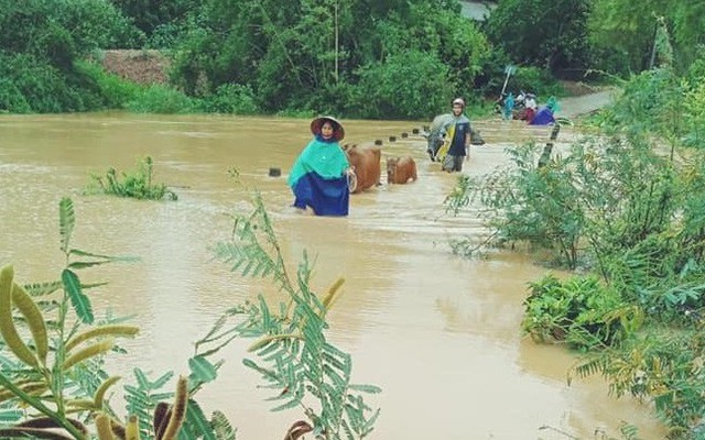 Hàng trăm trường học hoãn khai giảng vì mưa lũ